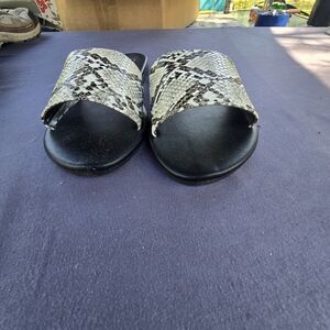 ShuShop Black Slide Sandals
